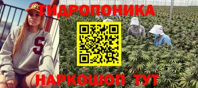 эйфоретик Северобайкальск