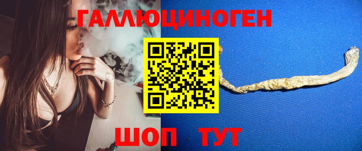 Орск  Псилоцибиновые грибы Magic Shrooms  Вход с VPN 