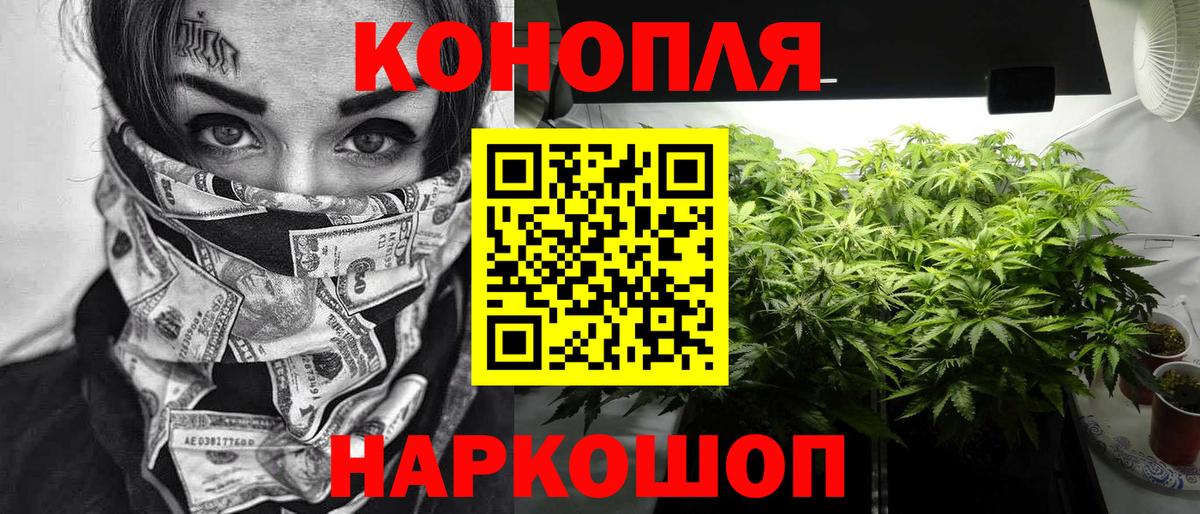 Орск  Шишки марихуана White Widow  Вход с VPN  Конопля индика  МАРИХУАНА Ganja 